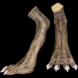 REPTILE FEET - PAIR