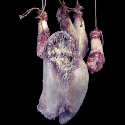 BUTCHERED PIG PARTS-HANGING WITH CHAIN-FROZEN FINISH