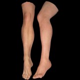 MALE LEGS-PAIR-FRESH FINISH