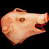 PIG HEAD-FRESH FINISH