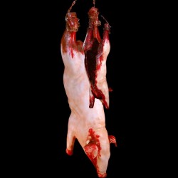 GUTTED PIG-HANGING WITH CHAIN-BLOODY FINISH