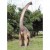 Брахиозавр с повернутой шеей