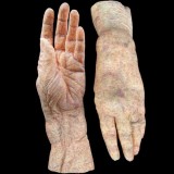 HAG FEMALE HANDS