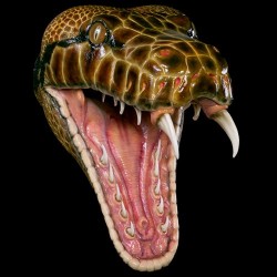 SNAKE HEAD