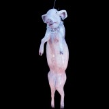 MEDIUM PIG-HANGING WITH CHAIN-FROZEN FINISH