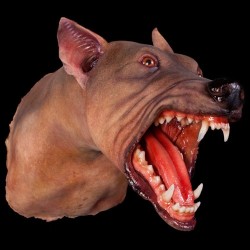 RABID DOG