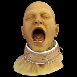 BUCKLE RESTRAINT COLLAR