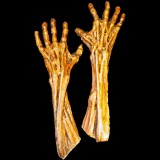 MUMMY HANDS-PAIR