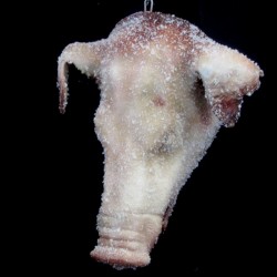 PIKE PIG HEAD-HANGING-FROZEN FINISH