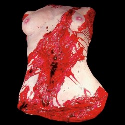 FLAT BACK - FEMALE CHEST - GORE