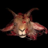 GOAT HEAD-BLOODY FINISH-BROWN