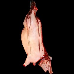 LARGE PIG-HANGING WITH CHAIN-BLOODY FINISH