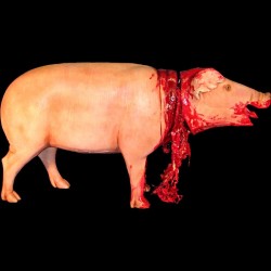 STANDING PIG WITH AIRBLAST NOSE-BLOODY FINISH