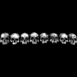 SKULL ARRAY - HORIZONTAL