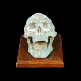 SKULL AWARD - LARGE