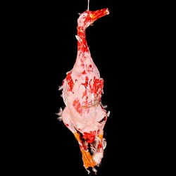 DUCK-WITH FEATHERS-BLOODY FINISH