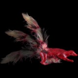 SKINNED SQUIRTING SKUNK WITH NATURAL TAIL