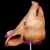 PIKE PIG HEAD-FRESH FINISH