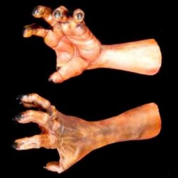 WOLF HANDS-PAIR