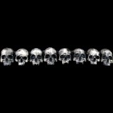 SKULL ARRAY - HORIZONTAL