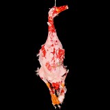 DUCK-WITH FEATHERS-BLOODY FINISH