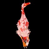 DUCK-WITH FEATHERS-BLOODY FINISH