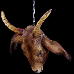 GOAT HEAD-HANGING WITH CHAIN-FRESH FINISH-BROWN