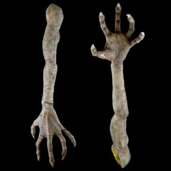 REPTILE ARMS-PAIR