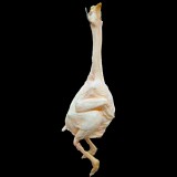 HEN-FRESH FINISH