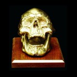 SKULL AWARD - LARGE