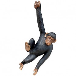Висящая шимпанзе
