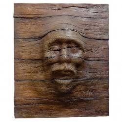 Деревянная панель с лицом