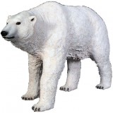 Белый медведь стоящий
