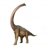 Брахиозавр с повернутой шеей