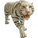 Тигр бенгальский (белый)