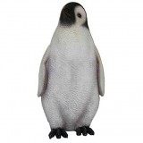 Молодой пингвин